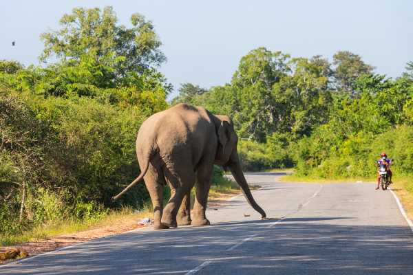 Full-Day 12-Hour Tour with Breakfast and Lunch